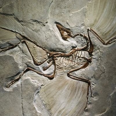 simplivity1's profile picture. aaa