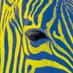 EverythingsZebra bsky social (@everythingzebra) Twitter profile photo EverythingsZebra bsky social (@everythingzebra) Twitter profile photo