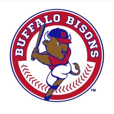 Buffalo sports fan