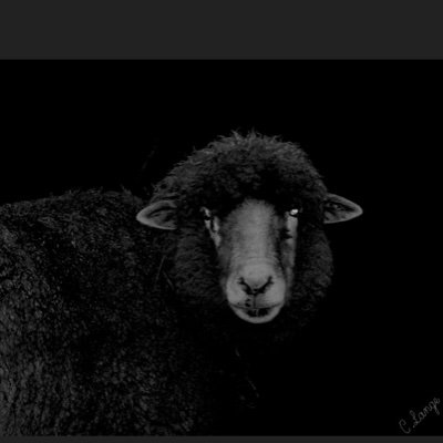 The Ministry of Truth is doing a double good plus job.
Psychology is subverted.
Presented Winners are thieves.
Amigo, I hope you disappeared not died, hero.