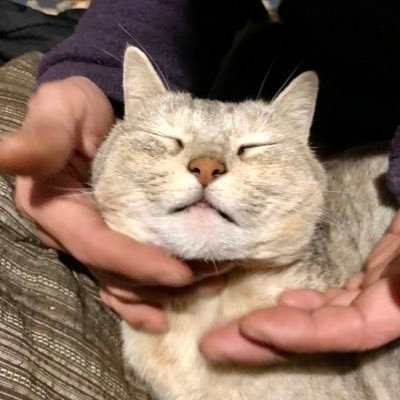 凍結されたので避難所作りました。買わない生活を目指してます。肥料を使わない家庭菜園で毎日食べる野菜を作って生活しています。 畑の野菜を取って来てどんなご飯になるのかアップしようかなと思ってます。案外工夫しないと毎日同じものを食べることになるので。創意工夫が大事です。