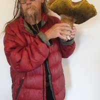 Smut Clyde, X-Ray Haruspex (@smutclyde) 's Twitter Profile