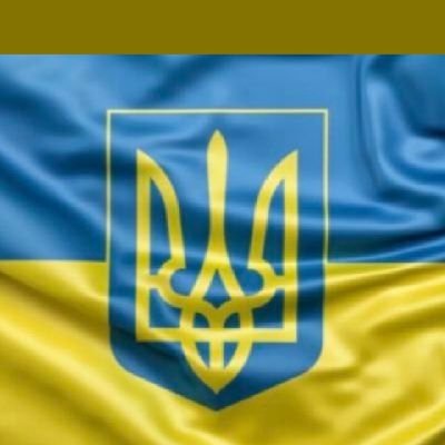 torres_2017's profile picture. 