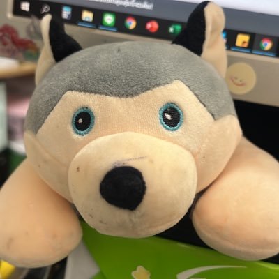 lioil27763059's profile picture. 