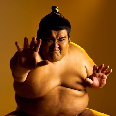 力士俳優・田代良徳公式 Yoshinori Tashiro🇯🇵SUMO actor ジョン・ウィック4 ハリウッド・インド映画・YouTube ・CM(ハリボーなど)など多数出演!サルマンカーンやキアヌリーブスとも共演!VOGUEでモデルデビューお仕事依頼はこちらから✉️ SUMOエージェンシー