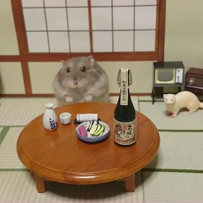 zezbox360's profile picture. 나는나