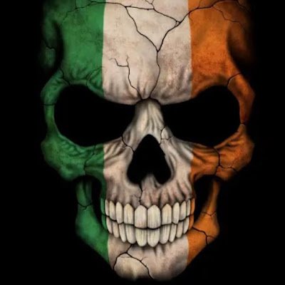 Im sick of Ireland being neutral , im sick of fighting the brits over our own shite. We know how to fight a big army with small numbers and devastate the oposit