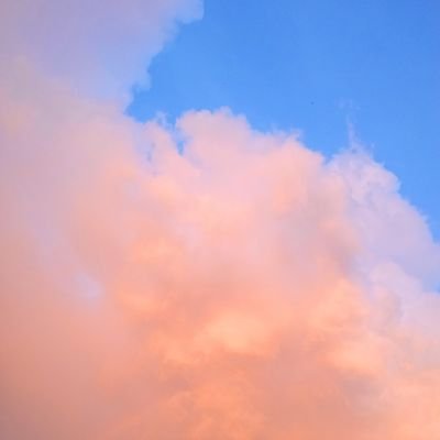 ArNita60431452's profile picture. 