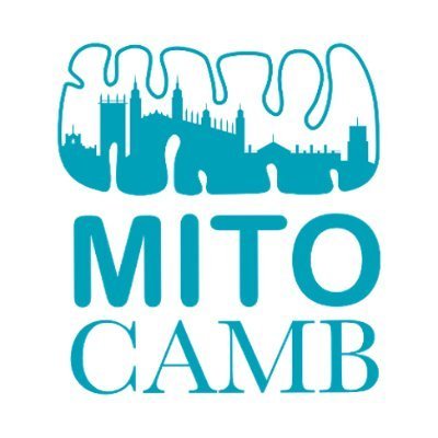 cam_mito Profile Picture