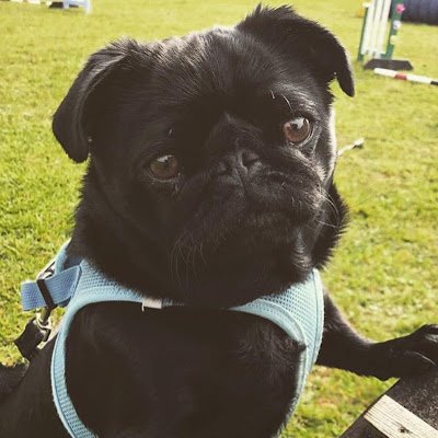 SarahJo50677499's profile picture. 