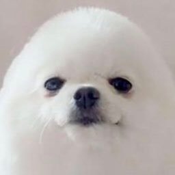 rebell63522237's profile picture. 千葉工大 未ロボ