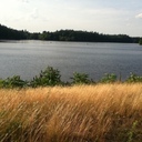 Anna Fitzpatrick - @AnnaFiitzzy - Twitter