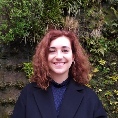 Author of “Screen Adaptations of Early-Modern French Plays.