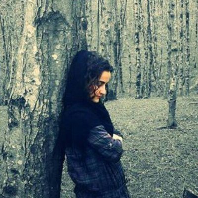 mahsaeei's profile picture. 