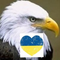Birdseye1 (@birdseye1) 's Twitter Profile