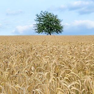 sciencefan_16's profile picture. Passionate founder - wine lover - I am a nerd / a geek who is diving deep into topics that matter for me.

Economist & political scientist.