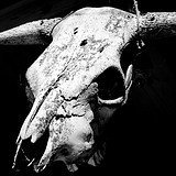 yoFPV's profile picture. #Coder #FPV #Bonsai
 •Learning by doing.•