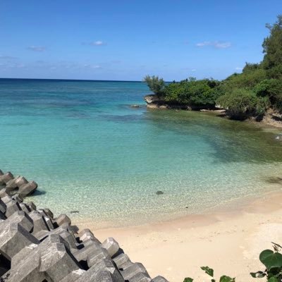 tomtaxation's profile picture. 税理士法人勤務。英語ビジネスレベル。