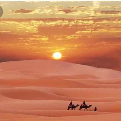 alwnys133's profile picture. سلطنة عمان