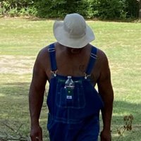 Matt Shane (@shane8798) 's Twitter Profile