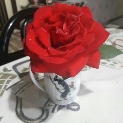 a_mirti's profile picture. 