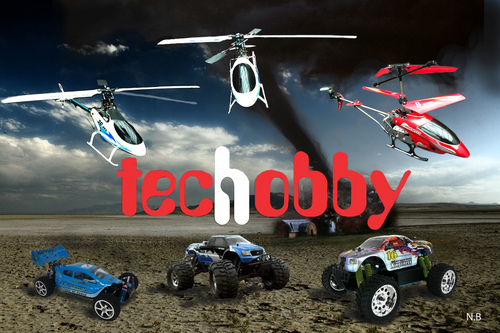 Operating in the Fraser Valley of British Columbia for 3 years, providing technical assistance and sales in the remote control toys Industry.