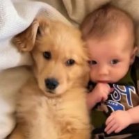 Bakytzhan (@bbb8cr) 's Twitter Profile