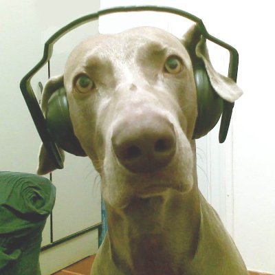 Weimaraner051's profile picture. Rock, Cachorro, Carros, Corridas, Mecânica, Viagens, Polônia, Brasil, Uruguai & Mundo.

Rock, Dogs, Cars, Race, Mechanics, Trip,Poland,Brazil,Uruguay and World.