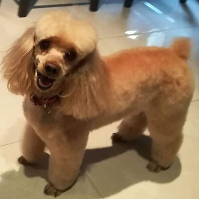 marialo61601452's profile picture. 