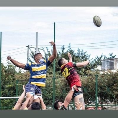 Docente
Jugador de Rugby 🏉