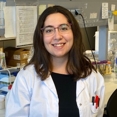 LiHermida's profile picture. PhD in Molecular Medicine: Role of Platelets in Transfusion and Regeneration 👩‍🔬