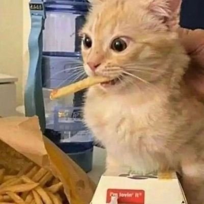 MemeKingMoore's profile picture. h