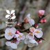 Scotney Castle (@scotneycastlent) Twitter profile photo Scotney Castle (@scotneycastlent) Twitter profile photo