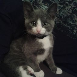 AR_UoE's profile picture. Educational researcher looking at issues surrounding assessment and social mobility.