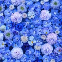 Mar🎁💐 (@mbmsghako) Twitter profile photo