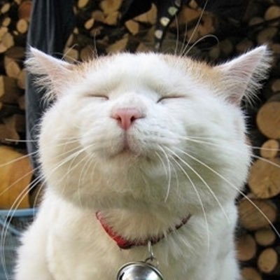The_Puss Profile