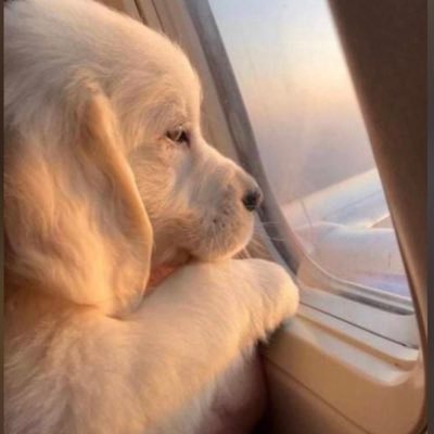 IdowuJanet17's profile picture. 😍❤️ best plug 🔌   @beautixconcept for male wears and footwear’s 🥰🎉