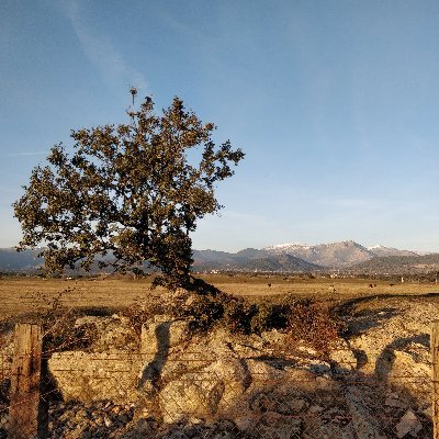 Aprendiendo astrofotografía desde bortle 8 🔭
Ingeniero electrónico
AD ASTRA!