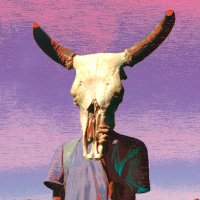 Zetaticula (@z_ticula) 's Twitter Profile