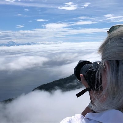 kdstover's profile picture. 