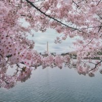 Monumental Tours Inc of Washington, DC(@Monumental_DC) 's Twitter Profile Photo