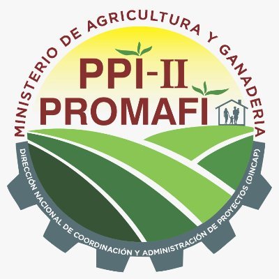 Iniciativa del Ministerio de Agricultura y Ganadería a través de la Dir. Nacional de coordinación y Administración de Proyectos DINCAP