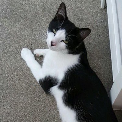 Thony37460's profile picture. je suis vacciné