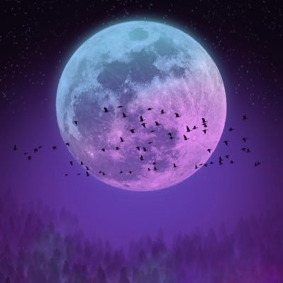 gmFromJerrod's profile picture. make progress