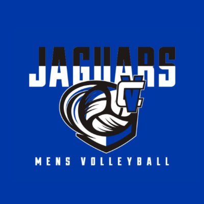 501c3 nonprofit that supports men’s volleyball student athletes.