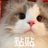 3528163429Tgmg's profile image