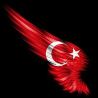 Tevfik Muteber (@tevfikmuteber) 's Twitter Profile Photo Tevfik Muteber (@tevfikmuteber) 's Twitter Profile Photo