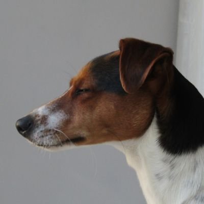 CoinGraphisme's profile picture. 