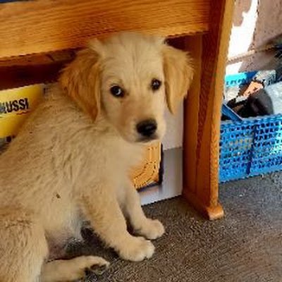 Beni75620729's profile picture. 