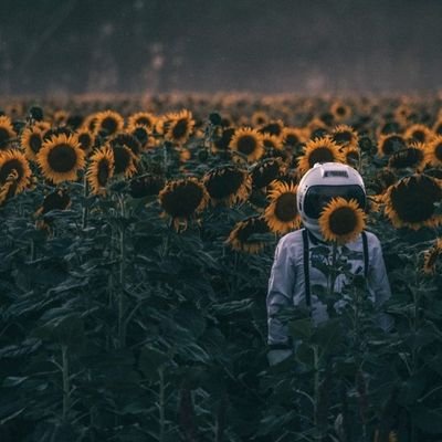 Хоп-хэй-лалалэйさんのプロフィール画像